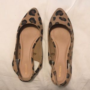 Cheetah Flats
